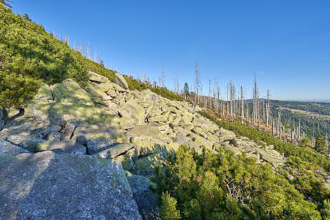 Gemeinde Neureichenau Landkreis Freyung-Grafenau Plöckenstein (Dirschl Johann) Deutschland FRG